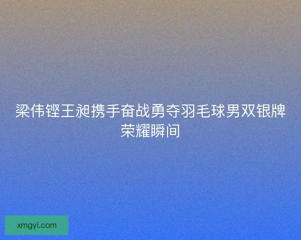 梁伟铿王昶携手奋战勇夺羽毛球男双银牌荣耀瞬间